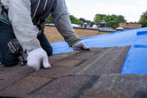 Best Roofing Contractor Near Me  in West Frankfort, IL