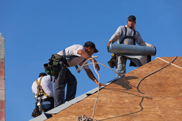Best Flat Roof Repair Services  in West Frankfort, IL